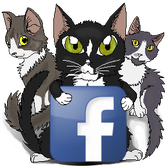 Subscribe to Cat's Facebook Fan Page