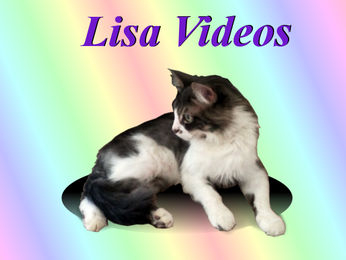Lisa Videos