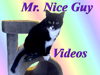Mr Nice Guy Videos
