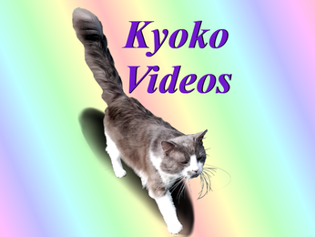 Kyoko Videos